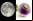 NASA quiere germinar plantas en la Luna