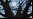 The Pixel Painter: 98 años, casi ciego y un artista del Paint The Pixel Painter: 98 años, casi ciego y un artista del Paint