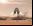 SpaceX quiere una colonia en Marte SpaceX quiere una colonia en Marte