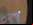 MSL Curiosity llega a Marte, síguelo en directo, por NeoTeo MSL Curiosity llega a Marte, síguelo en directo, por NeoTeo
