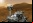 Curiosity - 7 Minutos de Terror Curiosity - 7 Minutos de Terror