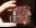 Los mini ordenadores SBC y su futuro Los mini ordenadores SBC y su futuro