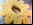 Impresora 3D de alimentos: Imprimiendo comida Impresora 3D de alimentos: Imprimiendo comida