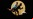 Las Aventuras de Tintin (Trailer)