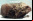 Meteorito ALH84001 no posee muestras de vida Meteorito ALH84001 no posee muestras de vida