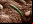 Meteorito ALH84001 no posee muestras de vida Meteorito ALH84001 no posee muestras de vida
