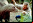 Terra Nova: Spielberg versus los dinosaurios Terra Nova: Spielberg versus los dinosaurios