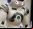 Nao Robots: Los robots bailarines (vídeo) Nao Robots: Los robots bailarines (vídeo)