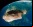 Rusia se quiere cargar al asteroide Apophis Rusia se quiere cargar al asteroide Apophis