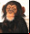 Monos rusos a Marte Monos rusos a Marte