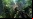 Crysis en un iPhone (¡en serio!) Crysis en un iPhone (¡en serio!)