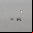 NeverWet: el liquido que repele al agua (video) NeverWet: el liquido que repele al agua (video)