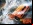 Need for Speed: The Run, por Michael Bay (trailer) Need for Speed: The Run, por Michael Bay (trailer)