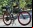 SIGNa: La bicicleta que anda con agua SIGNa: La bicicleta que anda con agua