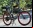 SIGNa: La bicicleta que anda con agua SIGNa: La bicicleta que anda con agua