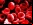 Sangre artificial para la guerra (DARPA) Sangre artificial para la guerra (DARPA)