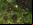 StarCraft 2: El regreso de StarCraft StarCraft 2: El regreso de StarCraft
