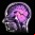 La música del cerebro La música del cerebro