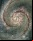 La sucesión de Fibonacci en la naturaleza La sucesión de Fibonacci en la naturaleza