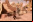Análisis - Indiana Jones and the Staff of Kings (Wii) Análisis - Indiana Jones and the Staff of Kings (Wii)