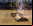 Robogames: Olimpiadas de Robots Robogames: Olimpiadas de Robots