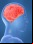 Informática Cognitiva e ingenieria inversa de la mente Informática Cognitiva e ingenieria inversa de la mente