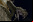 Deadly Creatures Deadly Creatures