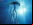La invasión de las medusas inmortales La invasión de las medusas inmortales