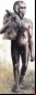 Hobbit: Una nueva especie casi humana Hobbit: Una nueva especie casi humana