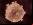 IBM capta un virus en 3D IBM capta un virus en 3D
