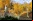 Lord of the Rings Online: Mines of Moria Lord of the Rings Online: Mines of Moria