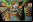 Delicious Library: Catálogo para tus películas y libros Delicious Library: Catálogo para tus películas y libros