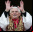 Vaticano dice NO a la clonación (entre otras cosas)