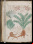 Manuscrito Voynich: ¿El mejor cifrado de la historia? Manuscrito Voynich: ¿El mejor cifrado de la historia?