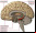 Implantes cerebrales para gente biónica Implantes cerebrales para gente biónica