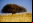 Waterboxx: Bosques en el desierto Waterboxx: Bosques en el desierto