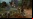 Análisis: Warhammer 40,000: Dawn of War II Análisis: Warhammer 40,000: Dawn of War II