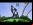 World of Goo World of Goo