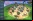 Spore Spore