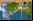 Spore Spore