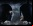 Mortal Kombat vs DC Universe Mortal Kombat vs DC Universe