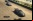 Race Driver: GRID Race Driver: GRID