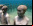 Arte bajo el agua: Las esculturas de Jason Taylor Arte bajo el agua: Las esculturas de Jason Taylor