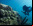 Arte bajo el agua: Las esculturas de Jason Taylor Arte bajo el agua: Las esculturas de Jason Taylor