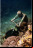 Arte bajo el agua: Las esculturas de Jason Taylor Arte bajo el agua: Las esculturas de Jason Taylor