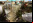 AVE: Augmented Virtual Earth AVE: Augmented Virtual Earth