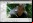 Avidemux: Editor de video Avidemux: Editor de video
