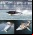 Innerspace Seabreacher: Nada como delfín Innerspace Seabreacher: Nada como delfín