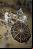 NASA: “Phoenix tiene un cortocircuito” NASA: “Phoenix tiene un cortocircuito”
