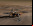 NASA: “Phoenix tiene un cortocircuito” NASA: “Phoenix tiene un cortocircuito”